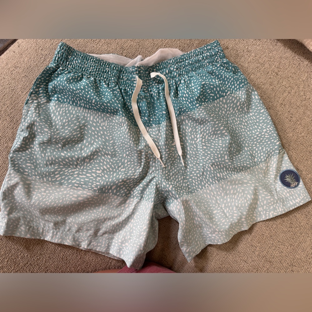 Men’s chubbies swim